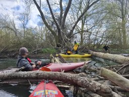 Anpaddeln, März 2026